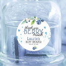 Buscar arándanos pegatinas Para todos