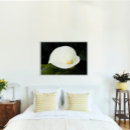 Buscar lirio blanco posters General y unisex