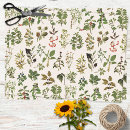 Buscar planta papel de seda Para ellos