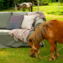 Buscar diseño azul claro cojines Minimalista