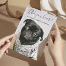 Buscar casual boda invitaciones Lindo