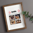 Buscar madera collares Perros
