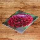 Buscar bloom azulejos Floral