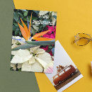 Buscar arreglo floral tarjetas Para todos