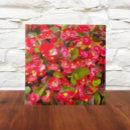 Buscar cera azulejos Floral