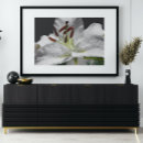Buscar lirio blanco posters General y unisex