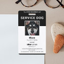 Buscar perro negro Moderno