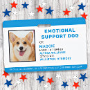 Buscar emocional Animal