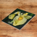 Buscar iris amarillos Floral