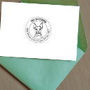 Buscar sphinx postales 9 º gata
