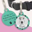 Buscar pata collares Animal