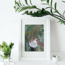 Buscar púlpito posters Botánico