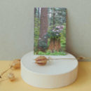 Buscar tocones tarjetas Bosque
