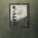 Buscar bosque oscuro posters General y unisex