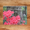 Buscar rododendros fotografía Floral
