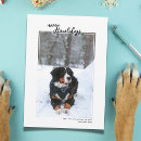 Buscar de perros tarjetas Lindo