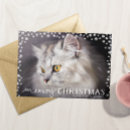 Buscar gato fotograficas tarjetas Para ella