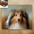 Buscar sheltie posters Para todos