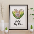 Buscar hermano mayor posters Niños