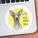Buscar pinscher miniatura pegatinas Cachorro