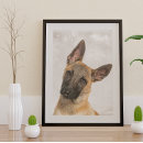 Buscar perro pastor belga posters Perros