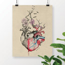 Buscar anatomía del corazón posters Amor