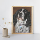 Buscar perro blanco posters Raza de perro