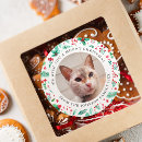 Buscar gato del navidad pegatinas Para mascotas