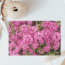 Buscar arbustos papel de seda Floral