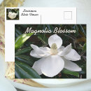 Buscar magnolias blancas postales General y unisex
