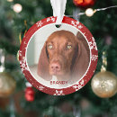 Buscar nieve mascotas Monumento al