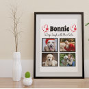 Buscar foto del perro posters Perros