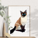Buscar gato arte Ilustracion