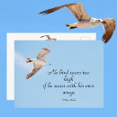 Buscar pájaro en vuelo postales Costa