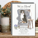 Buscar bernese Raza