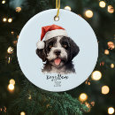 Buscar perro de agua portugués adornos Navidades