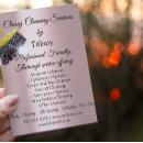 Buscar limpieza de la casa flyers Clientes