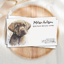 Buscar recue el perro General y unisex
