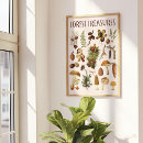 Buscar botánico antiguo posters Bosque