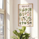 Buscar herbario posters Para todos