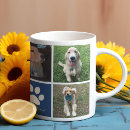 Buscar madera blanca tazas Azul