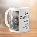 Buscar kitten tazas Para ella
