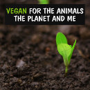 Buscar planeta verde pegatinas parachoque Vegano