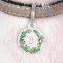 Buscar cactus collares Para mascotas