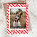 Buscar caramelo tarjetas Familia