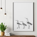 Buscar dibujo animales posters Pájaros