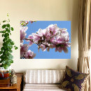 Buscar magnolia lienzos Árbol de magnolia