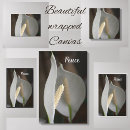 Buscar paz lienzos Elegante