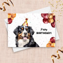 Buscar bernese mountain dog tarjetas Perro