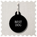 Buscar divertidos collares Perros